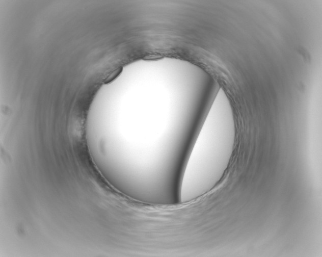 X0000090950033200708021110