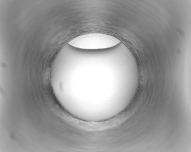 X0000090950034200708021110