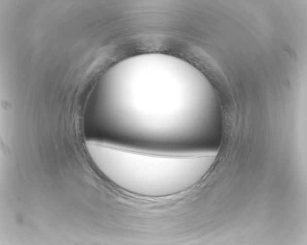 X0000090950035200708021110