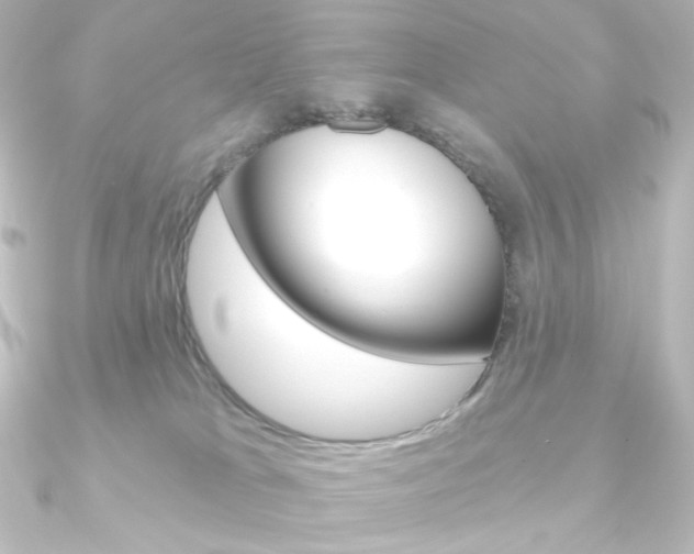 X0000090950037200708021110