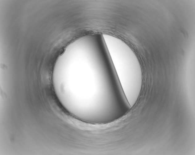 X0000090950039200708021110