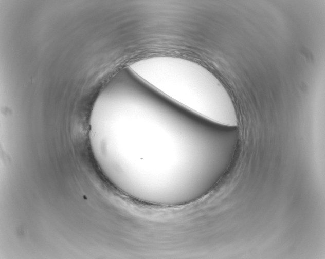 X0000090950040200708021110