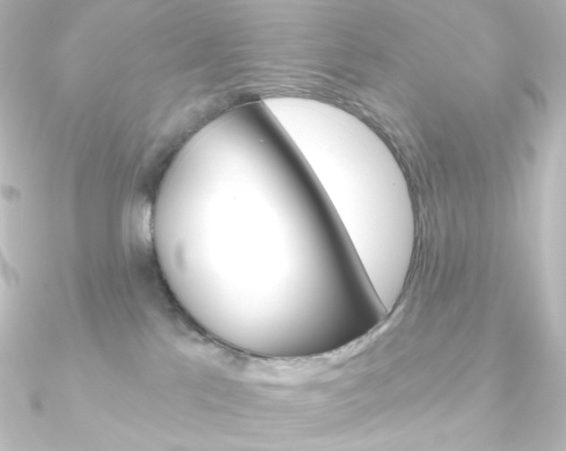 X0000090950041200708021110