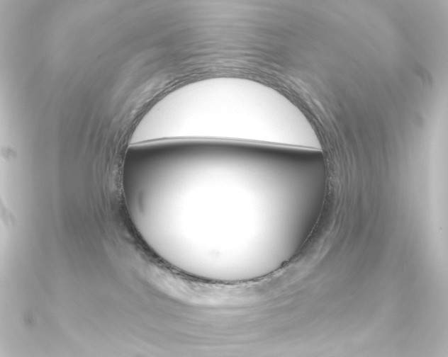 X0000090950044200708021110