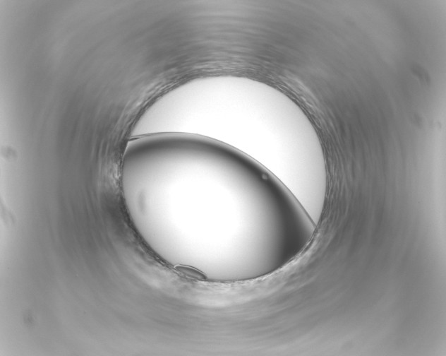 X0000090950045200708021110