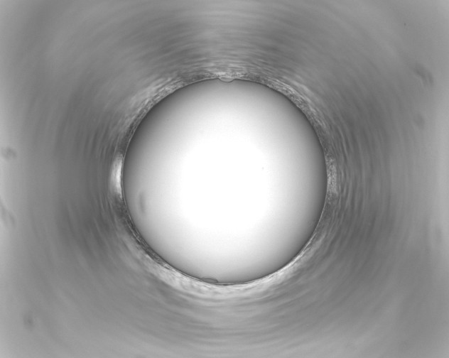 X0000090950047200708021110