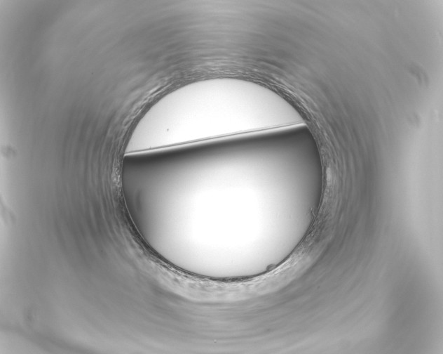 X0000090950048200708021110