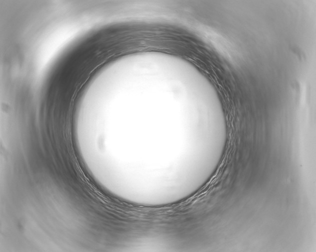 X0000090950052200708021110
