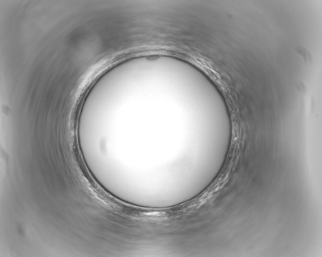 X0000090950053200708021110