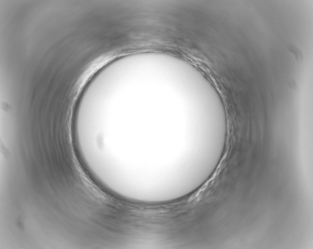 X0000090950054200708021110