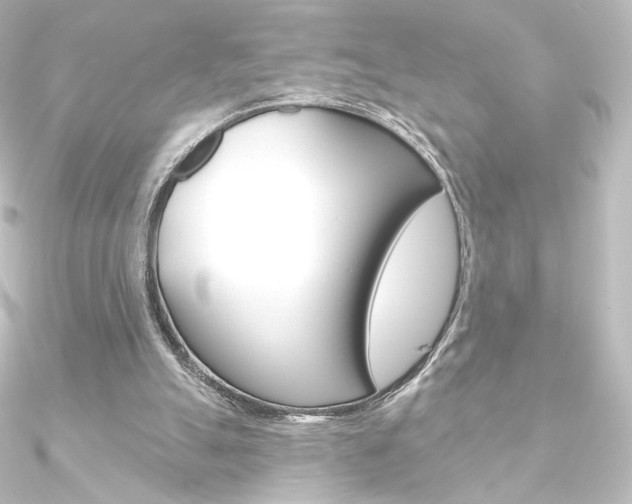 X0000090950055200708021110