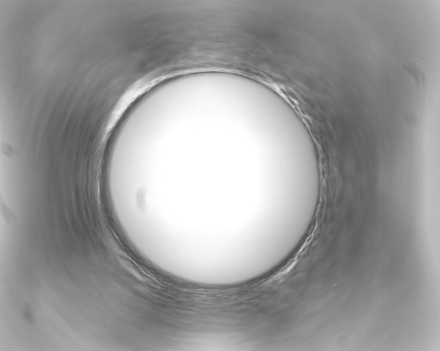 X0000090950056200708021110