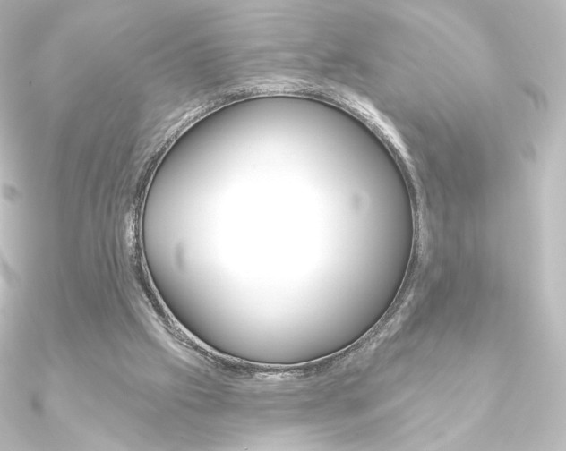 X0000090950057200708021110