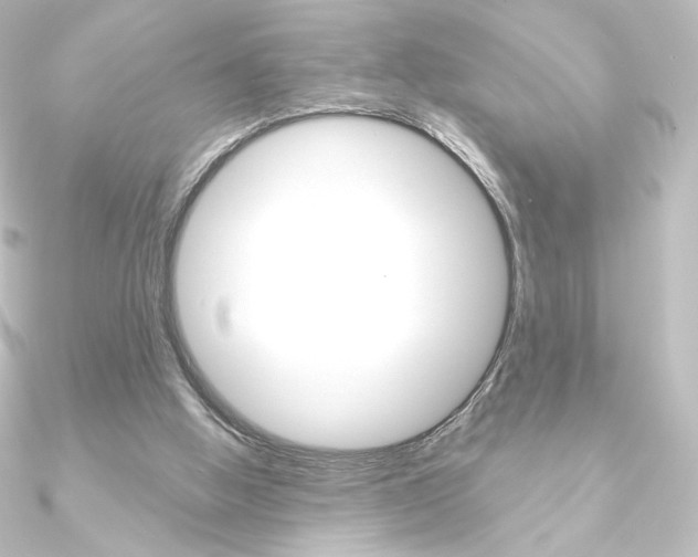 X0000090950058200708021110