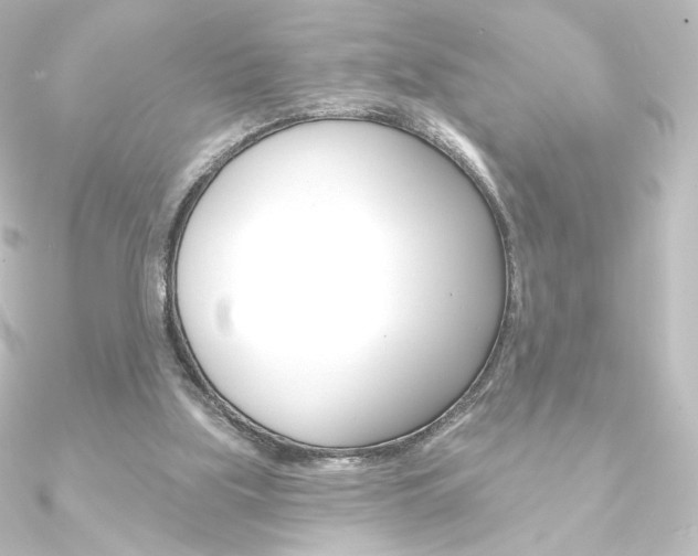 X0000090950059200708021110