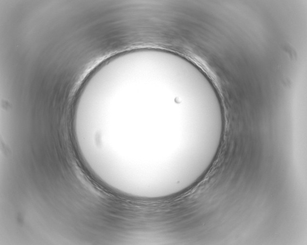 X0000090950060200708021110