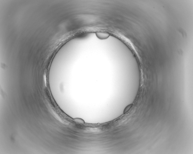 X0000090950061200708021110