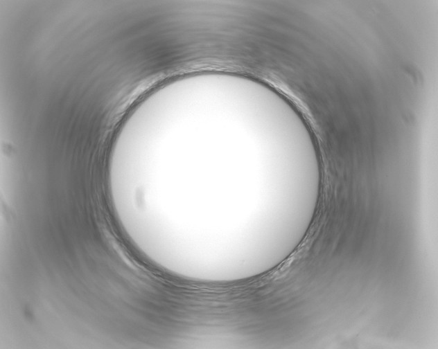 X0000090950062200708021110