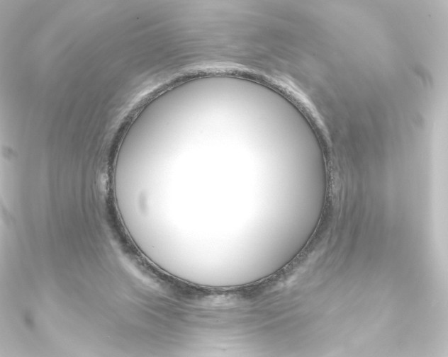 X0000090950063200708021110