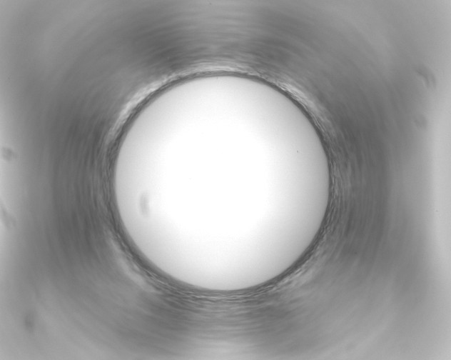 X0000090950064200708021110