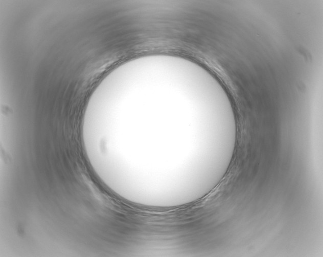 X0000090950066200708021110