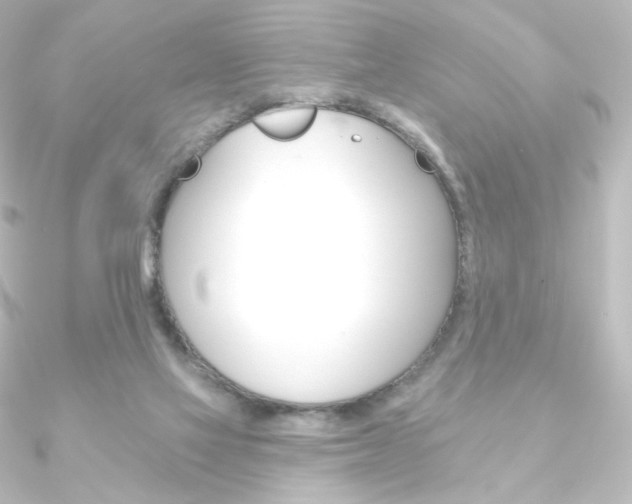 X0000090950069200708021110