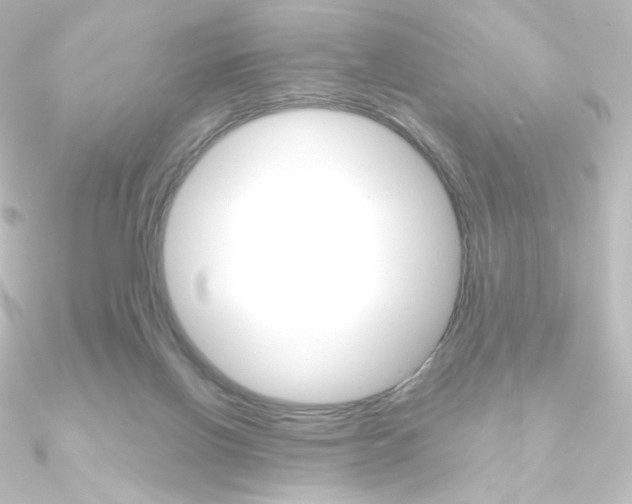 X0000090950070200708021110