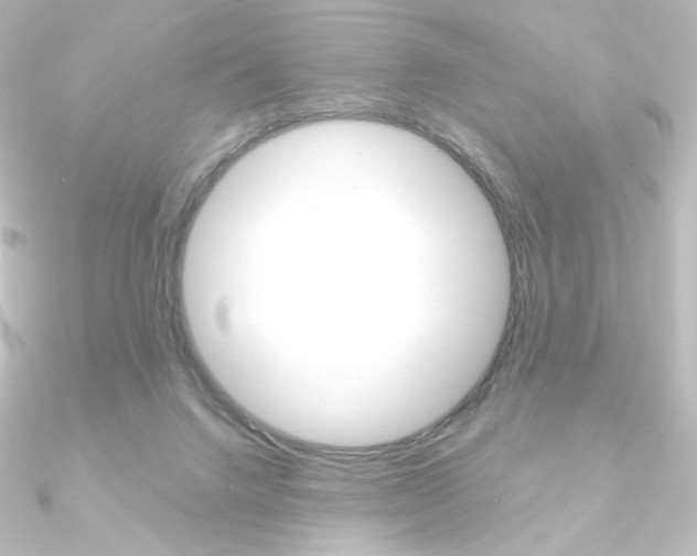 X0000090950072200708021110