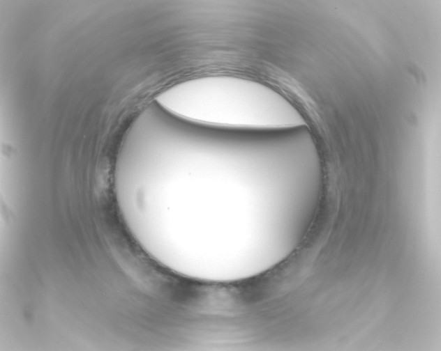 X0000090950073200708021110