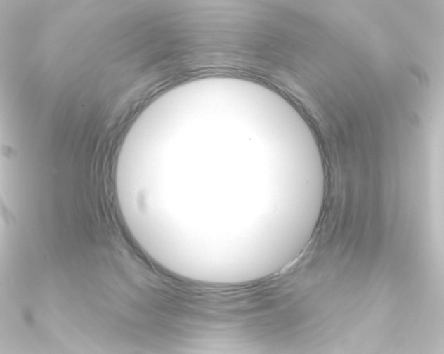 X0000090950074200708021110