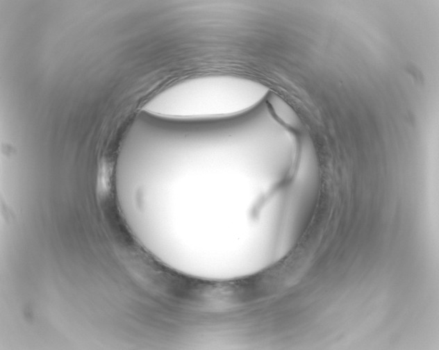 X0000090950075200708021110