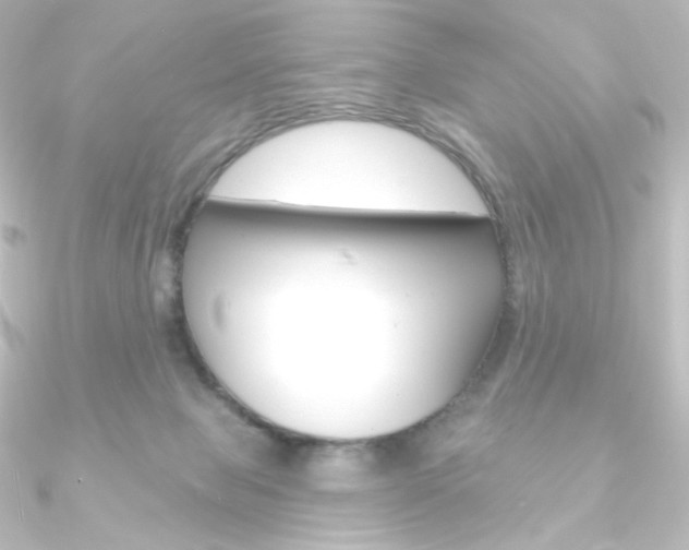X0000090950077200708021110