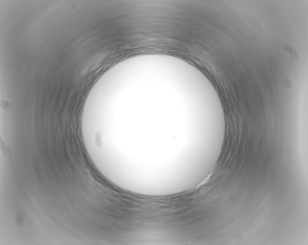 X0000090950078200708021110