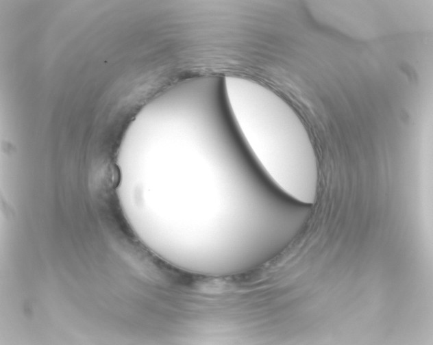 X0000090950079200708021110