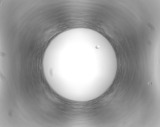 X0000090950080200708021110