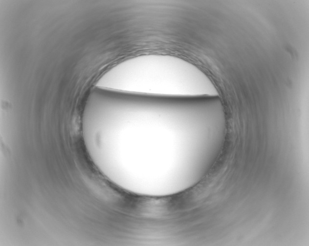 X0000090950081200708021110