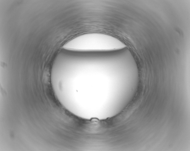X0000090950083200708021110