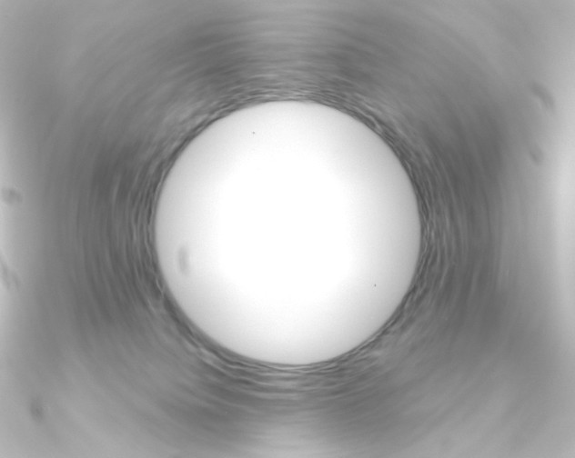 X0000090950084200708021110