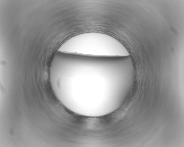 X0000090950085200708021110