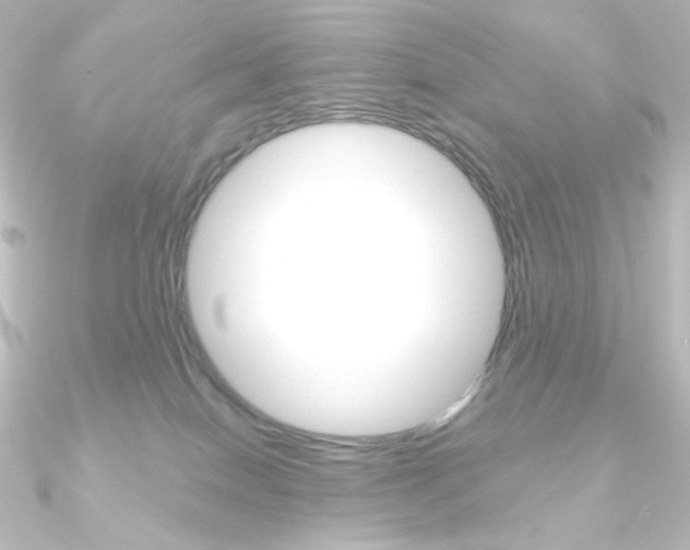 X0000090950086200708021110