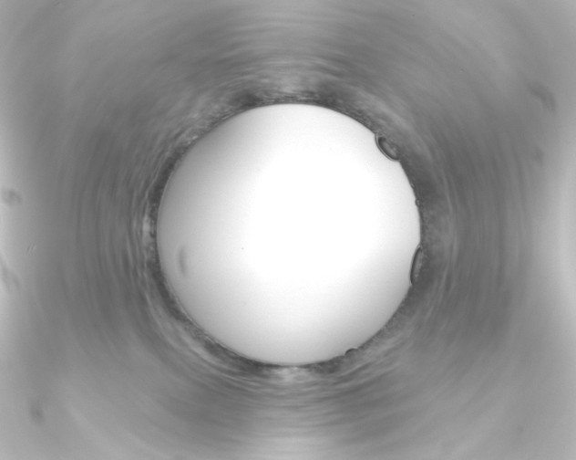 X0000090950087200708021110
