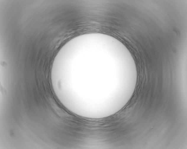 X0000090950088200708021110
