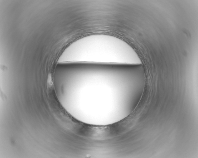 X0000090950089200708021110