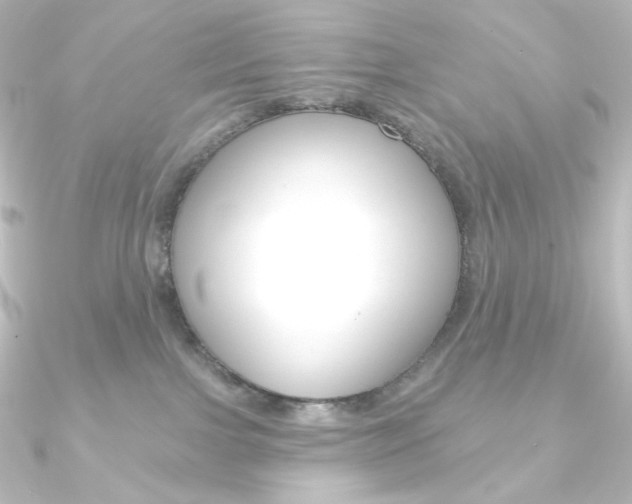 X0000090950091200708021110