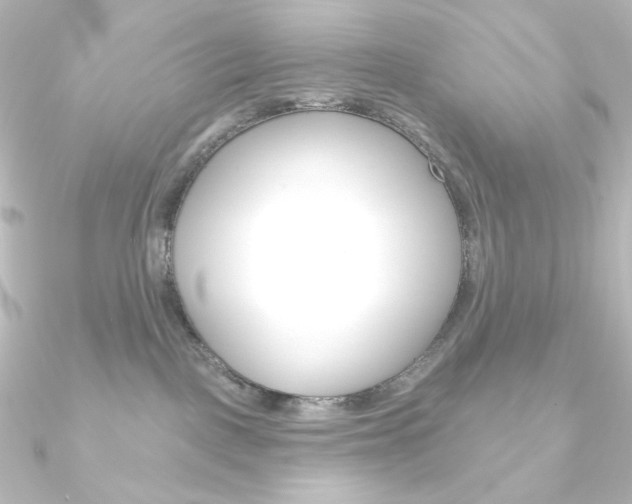 X0000090950093200708021110