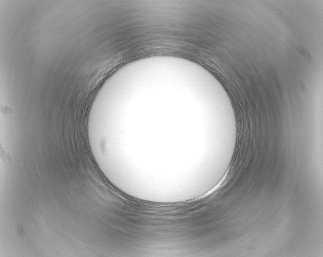 X0000090950094200708021110
