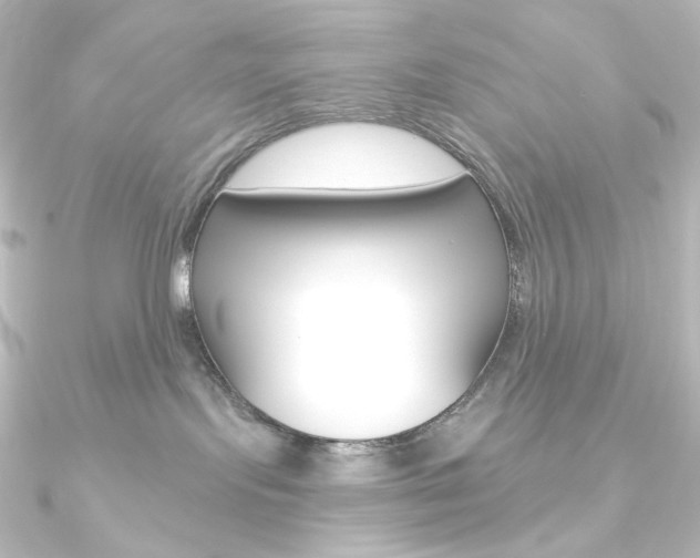 X0000090950095200708021110