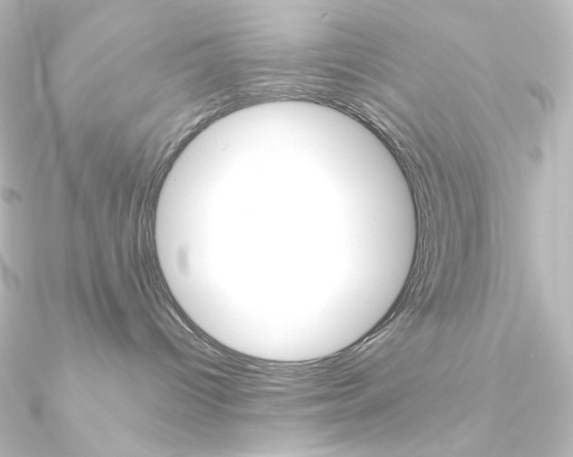 X0000090950096200708021110