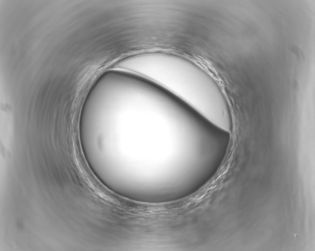 X0000090950097200708021109