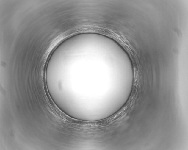 X0000090950099200708021109